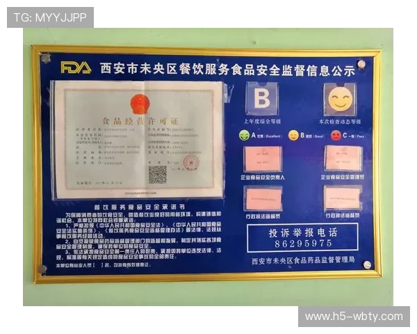 博万体育app官网安全保障措施，保障用户信息与资金安全的全面措施